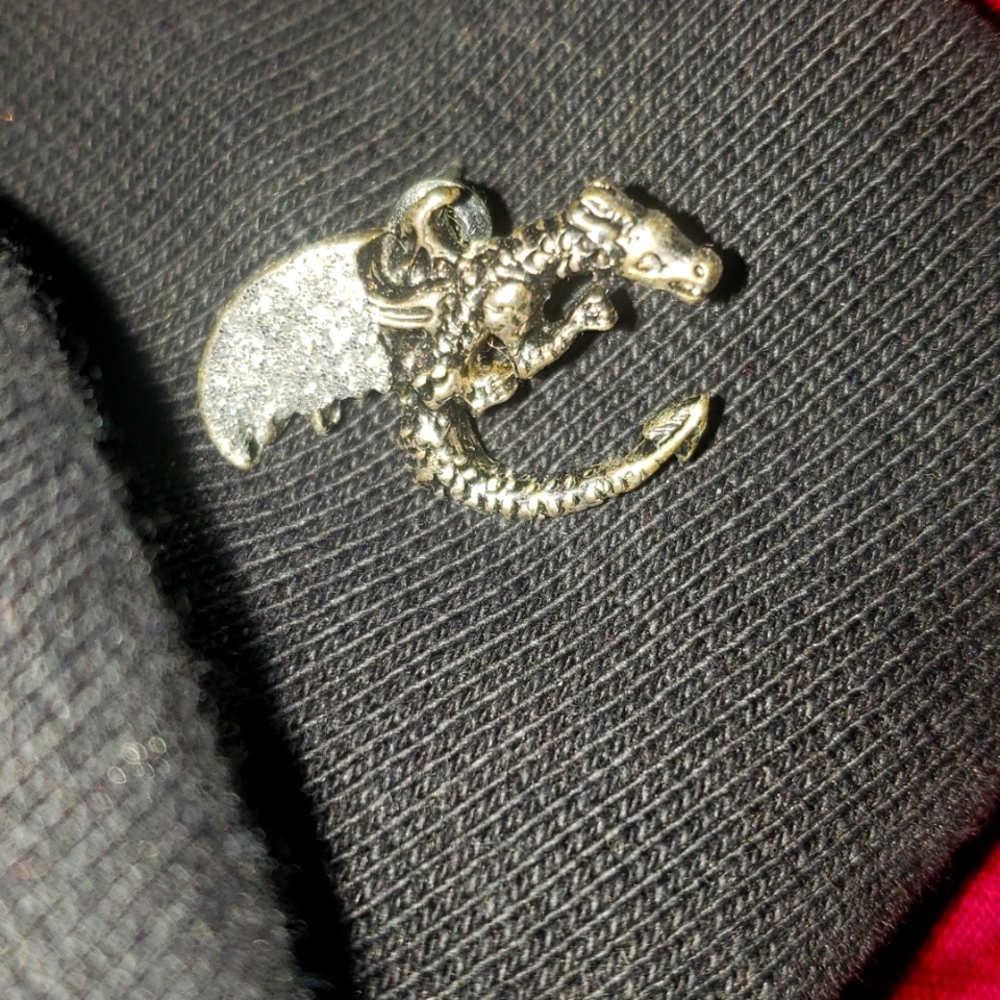 Dragon earrings